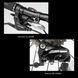 Велосипед складной ROCKBROS MBS-20E | на 8-скоростной трансмиссии Shimano | алюминиевый | Серебристый RB-MBS20E-5274 фото 3